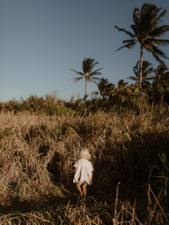 Little boy exploring in Maui. Hawaii at golden hour