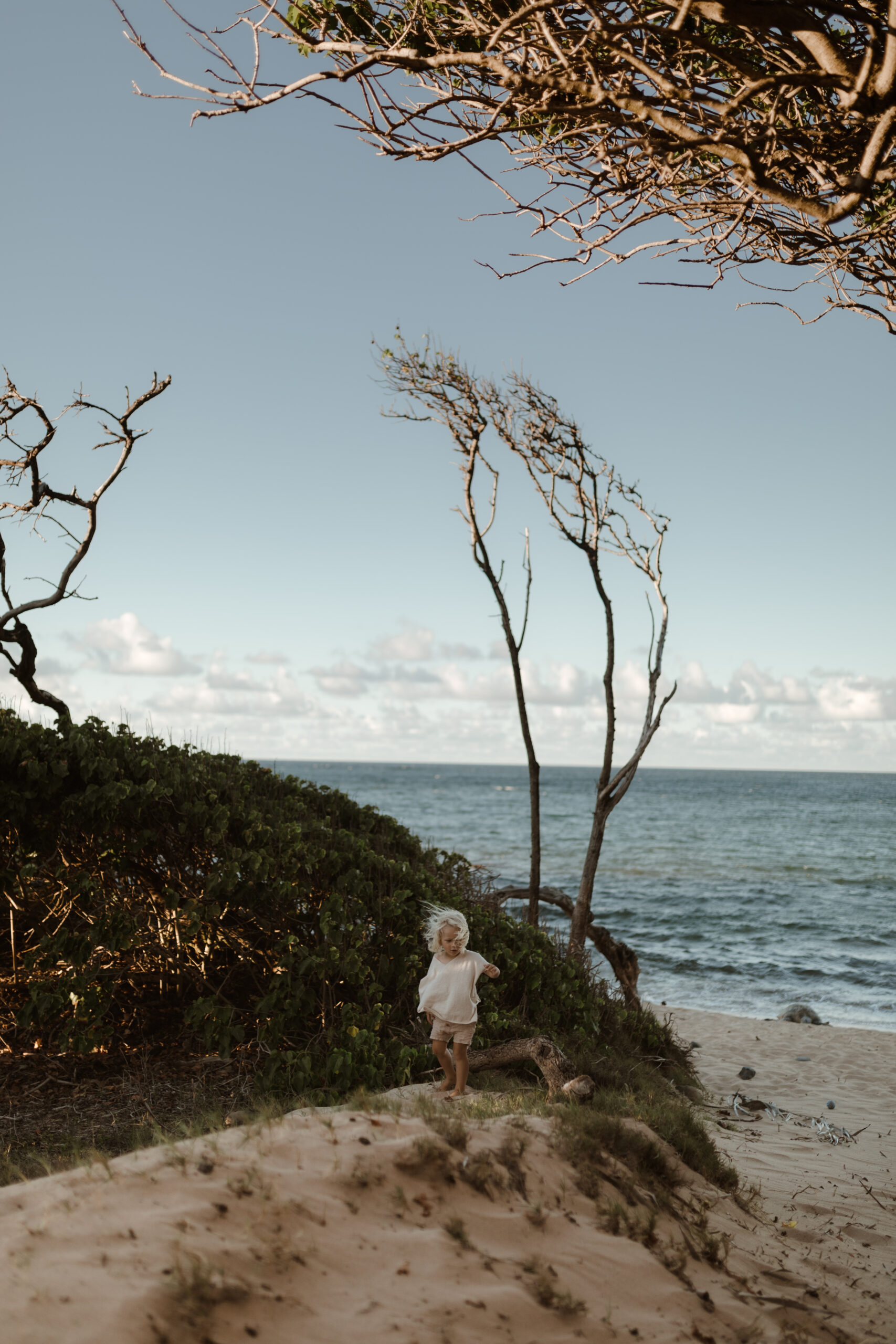 Little boy exploring Maui Hawaii beach